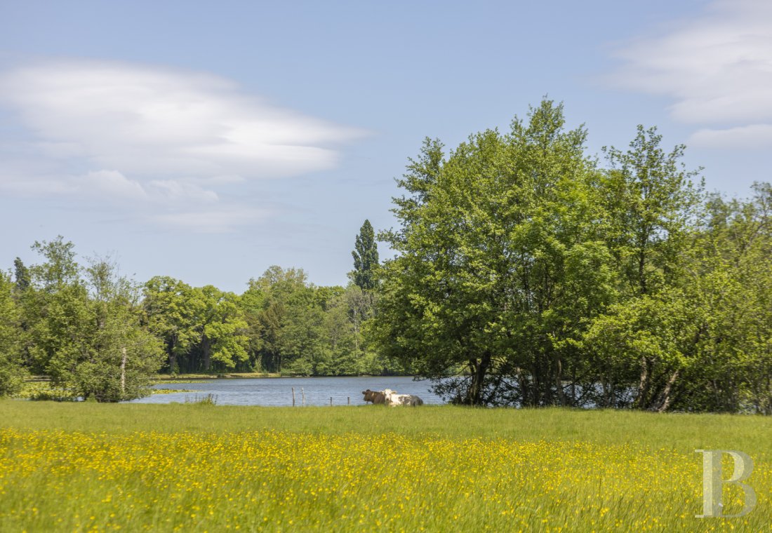 A vast family château on 250 hectares of land in the Nièvre department, between Sancerre and Clamecy  - photo  n°8